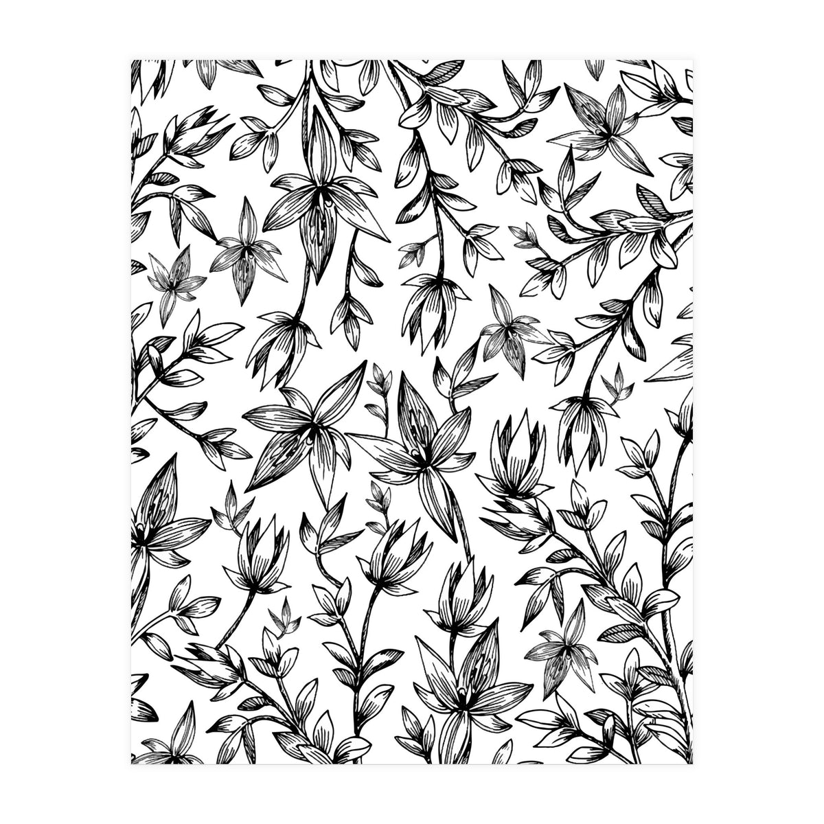 Veli V2 (Print Only)