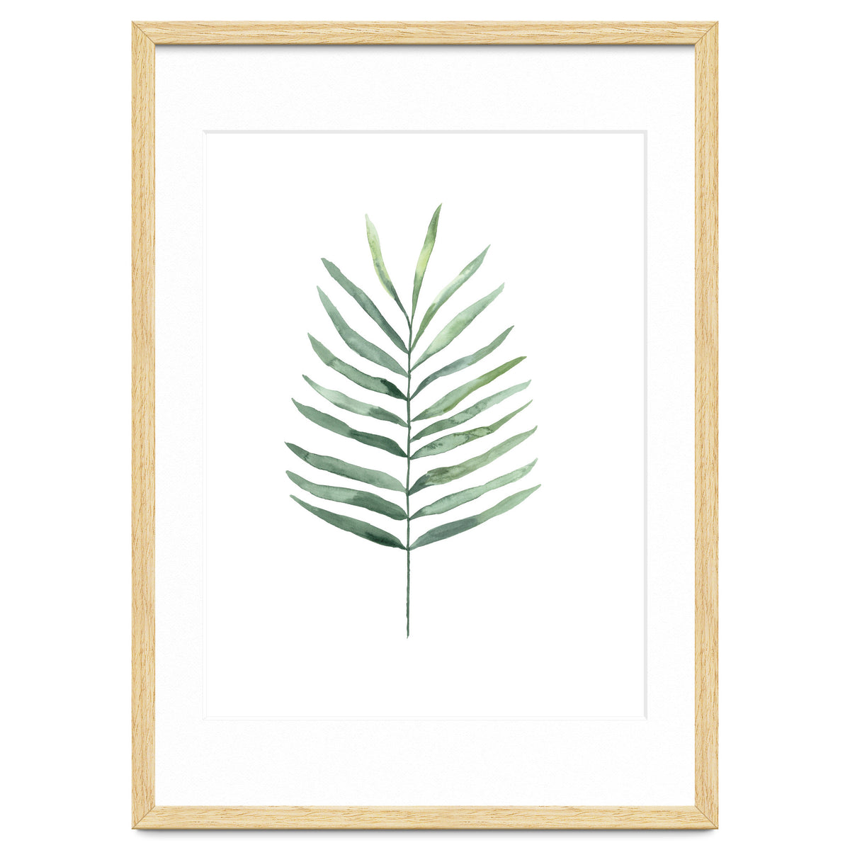 Botanical Illustration Fern