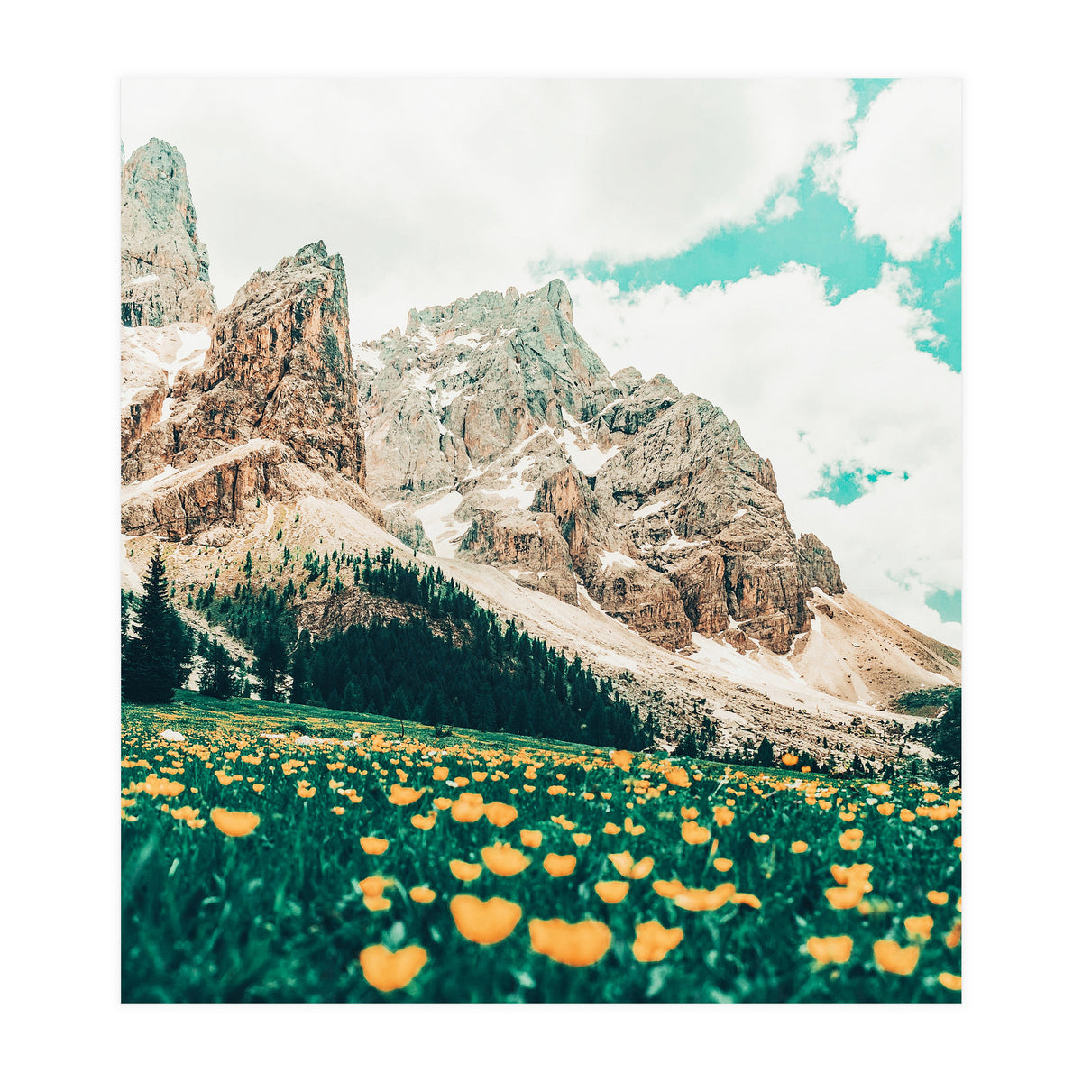 Hillside Meadow (Print Only)