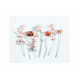 Minima (Print Only) thumbnail