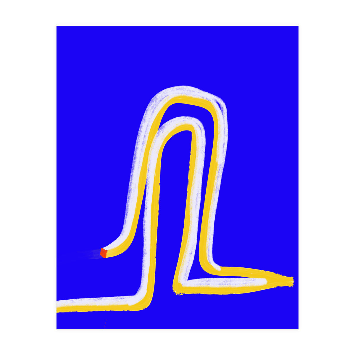 History (Print Only)