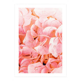 Blushing (Print Only) thumbnail