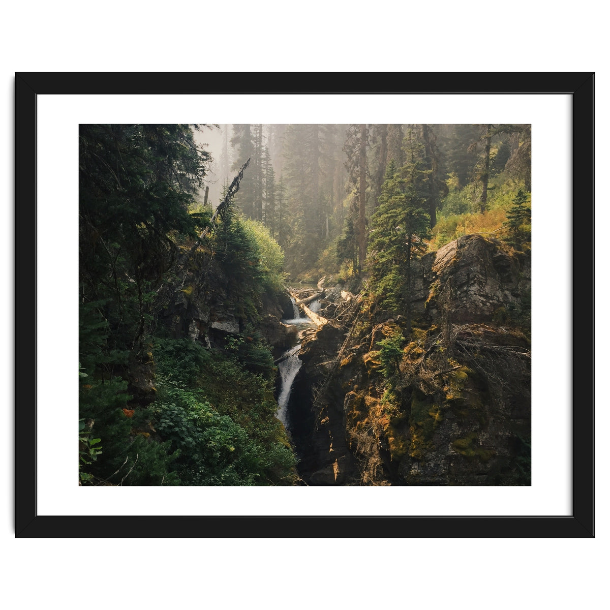 Glacier National Park I