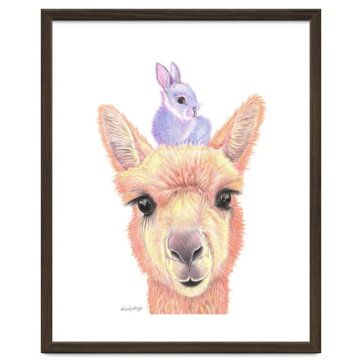 Alpaca and Bunny