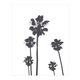Palms & Sunset-Minimal B&W 2 (Print Only) thumbnail