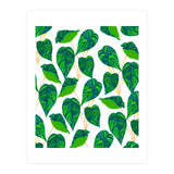 House Plant (Print Only) thumbnail