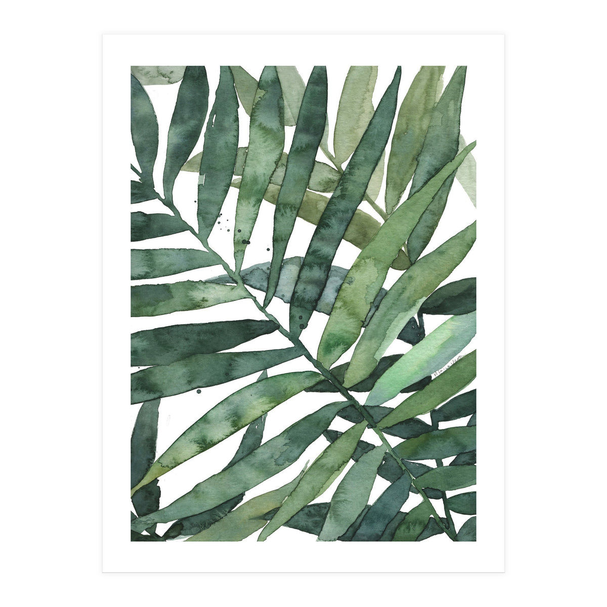 tropical 5 (Print Only)