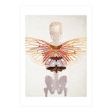 Ikarus - Like a Moth to the Flame (Print Only) thumbnail