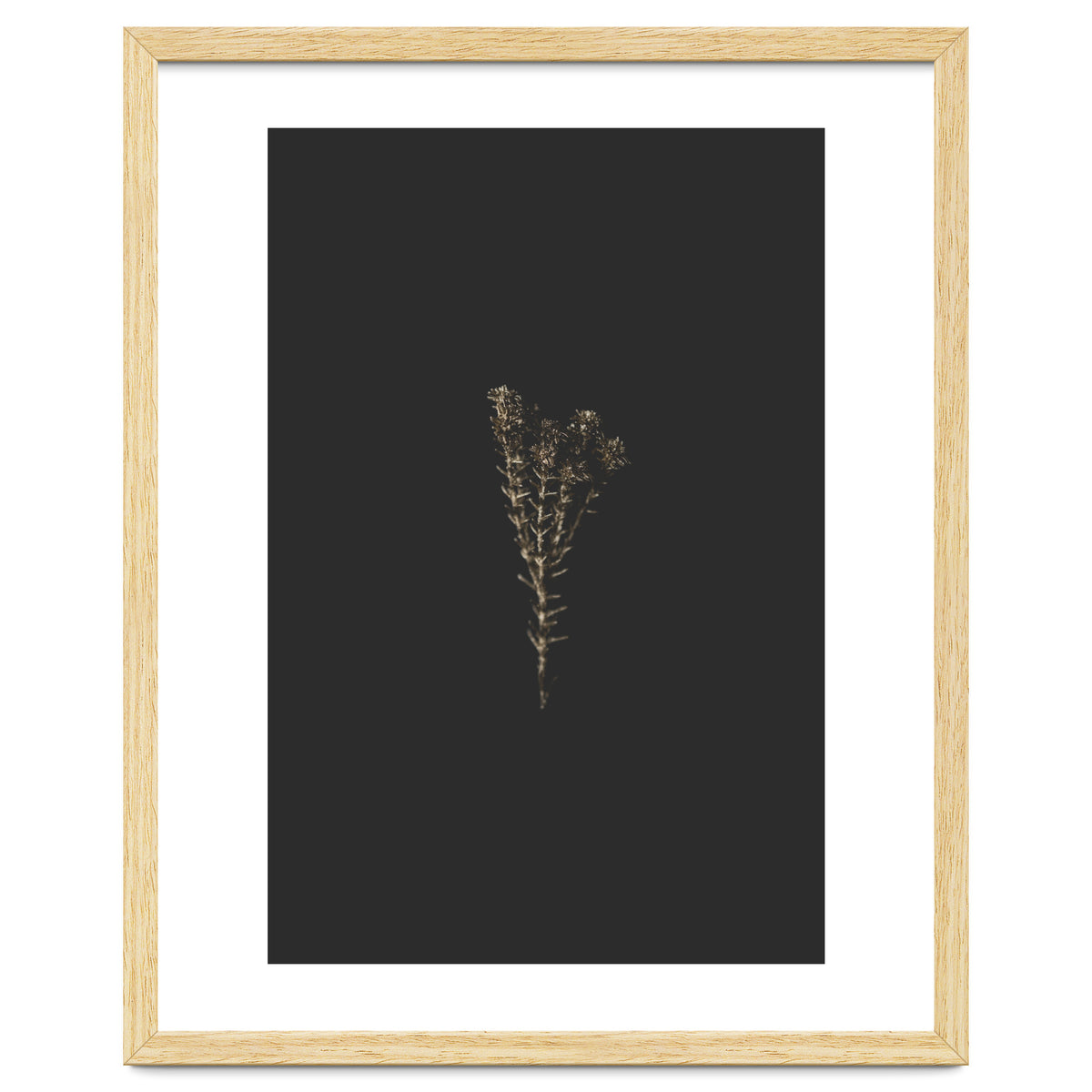 Moody Golden Botanicals