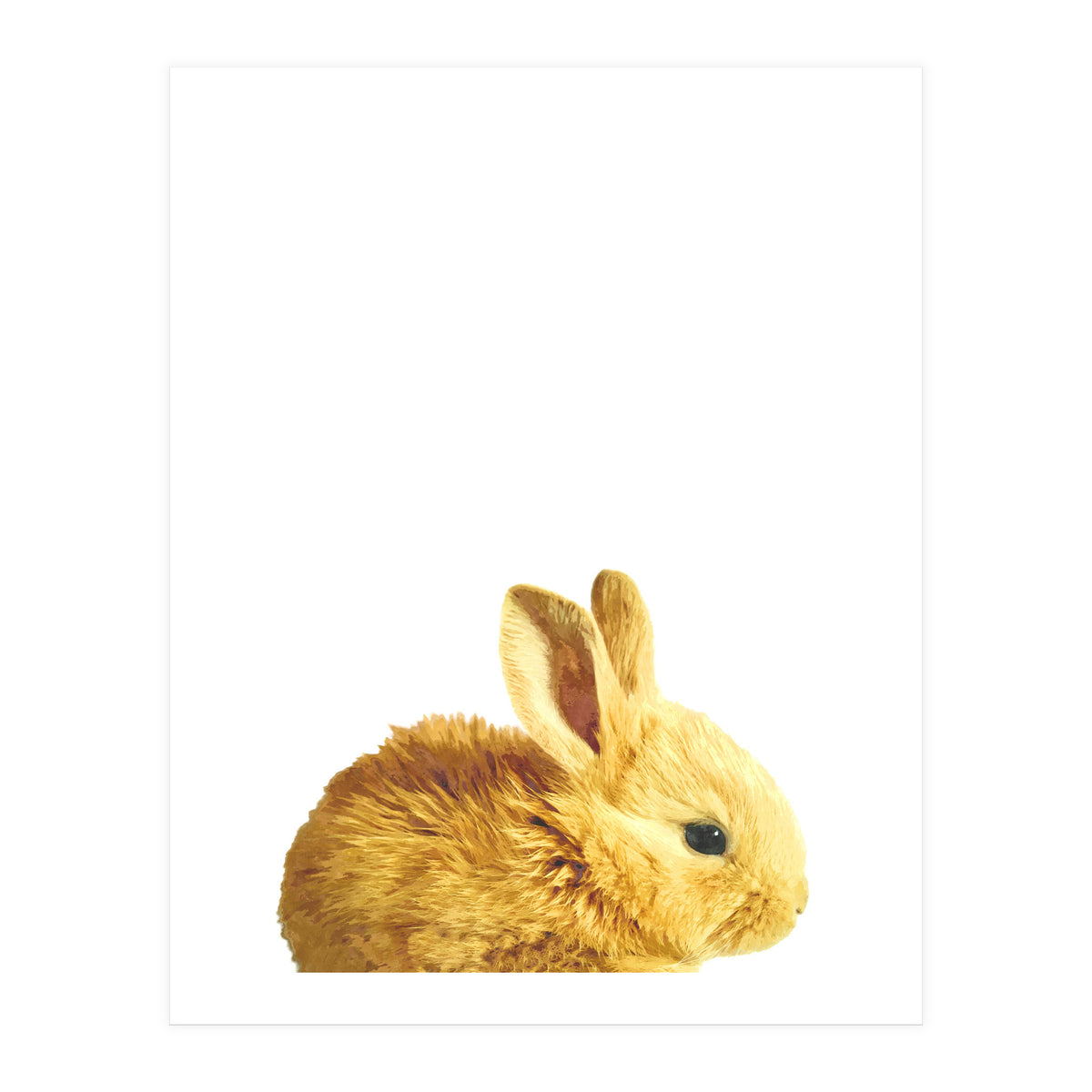 Bunny Portrait (Print Only)