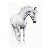 Horse Line Art (Print Only) thumbnail