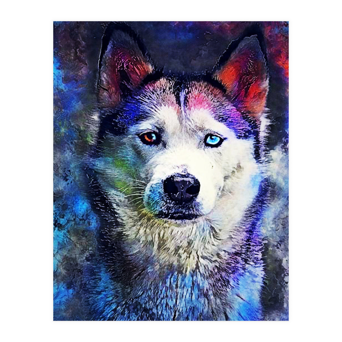 Dog Husky (Print Only)