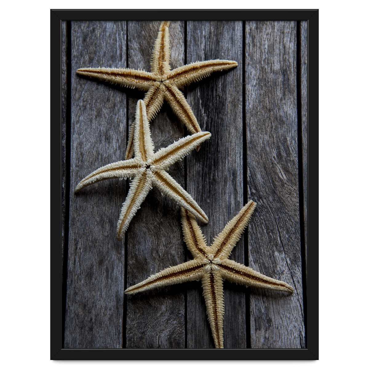 Starfishes in wooden