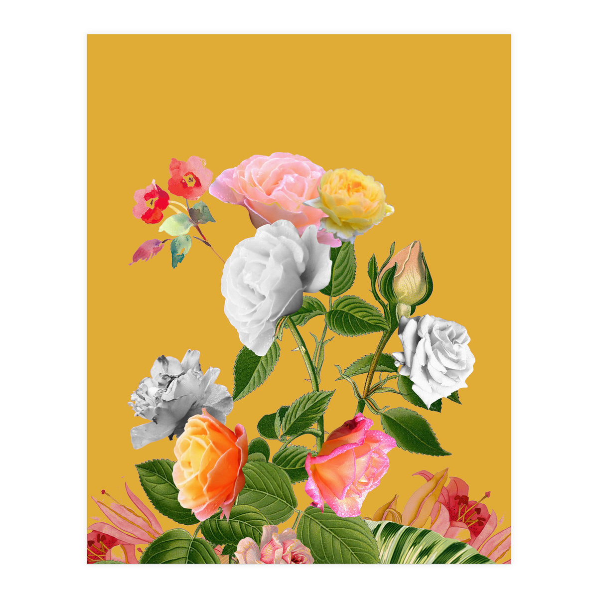 Floral Pop (Print Only)