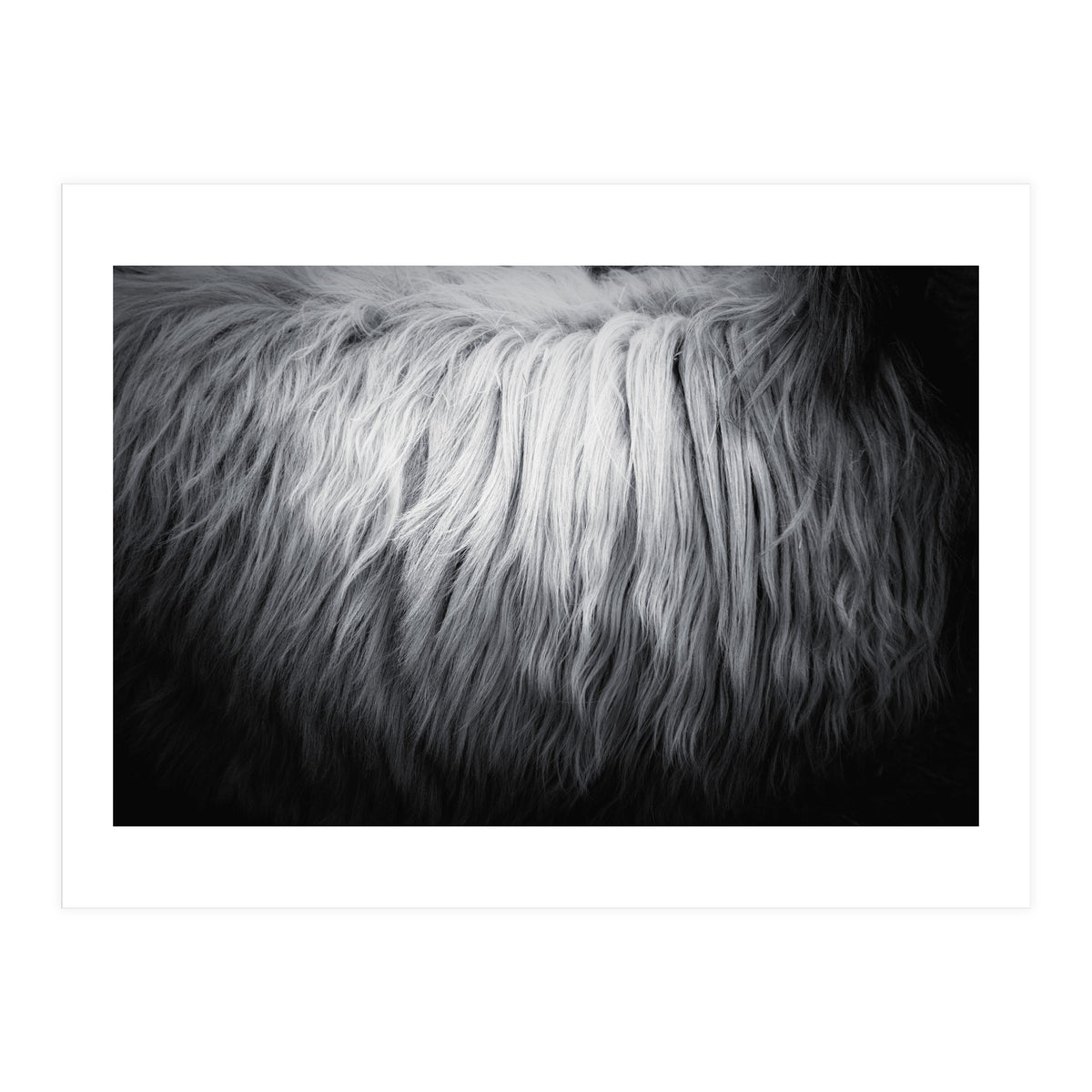 hair (Print Only)