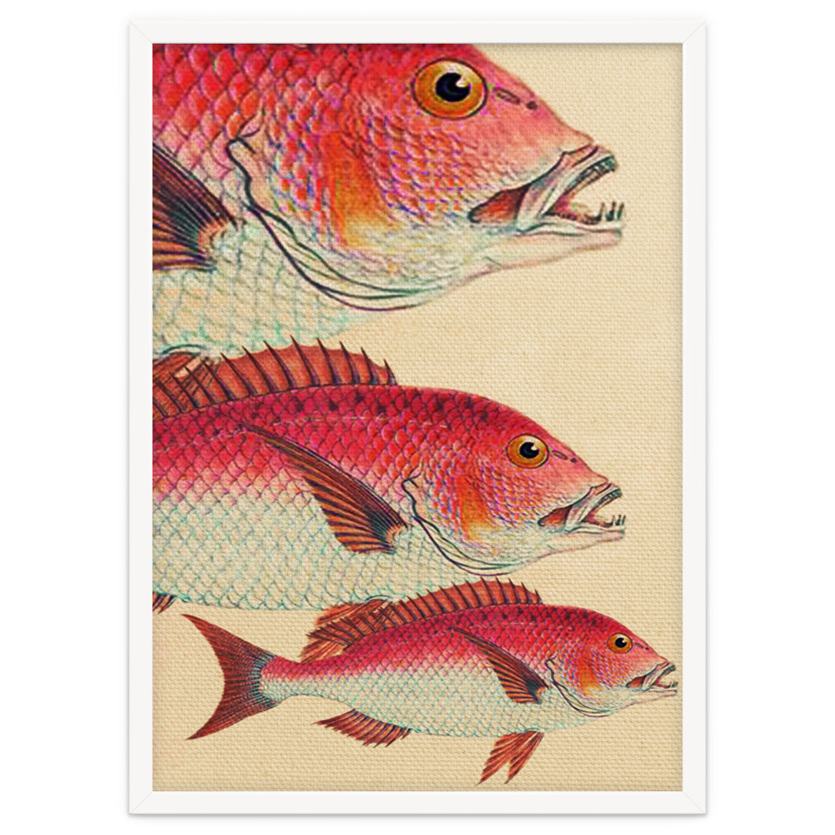 Fish Classic Designs 7