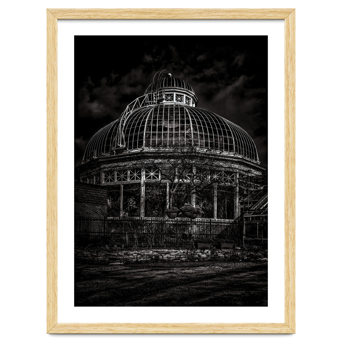 Allan Gardens Conservatory Palm House Toronto Canada No 2