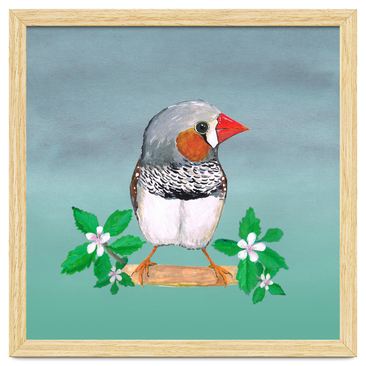 Zebra finch