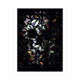 Butterfly Skull (Print Only) thumbnail