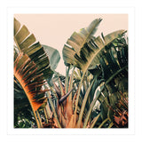 Hue (Print Only) thumbnail