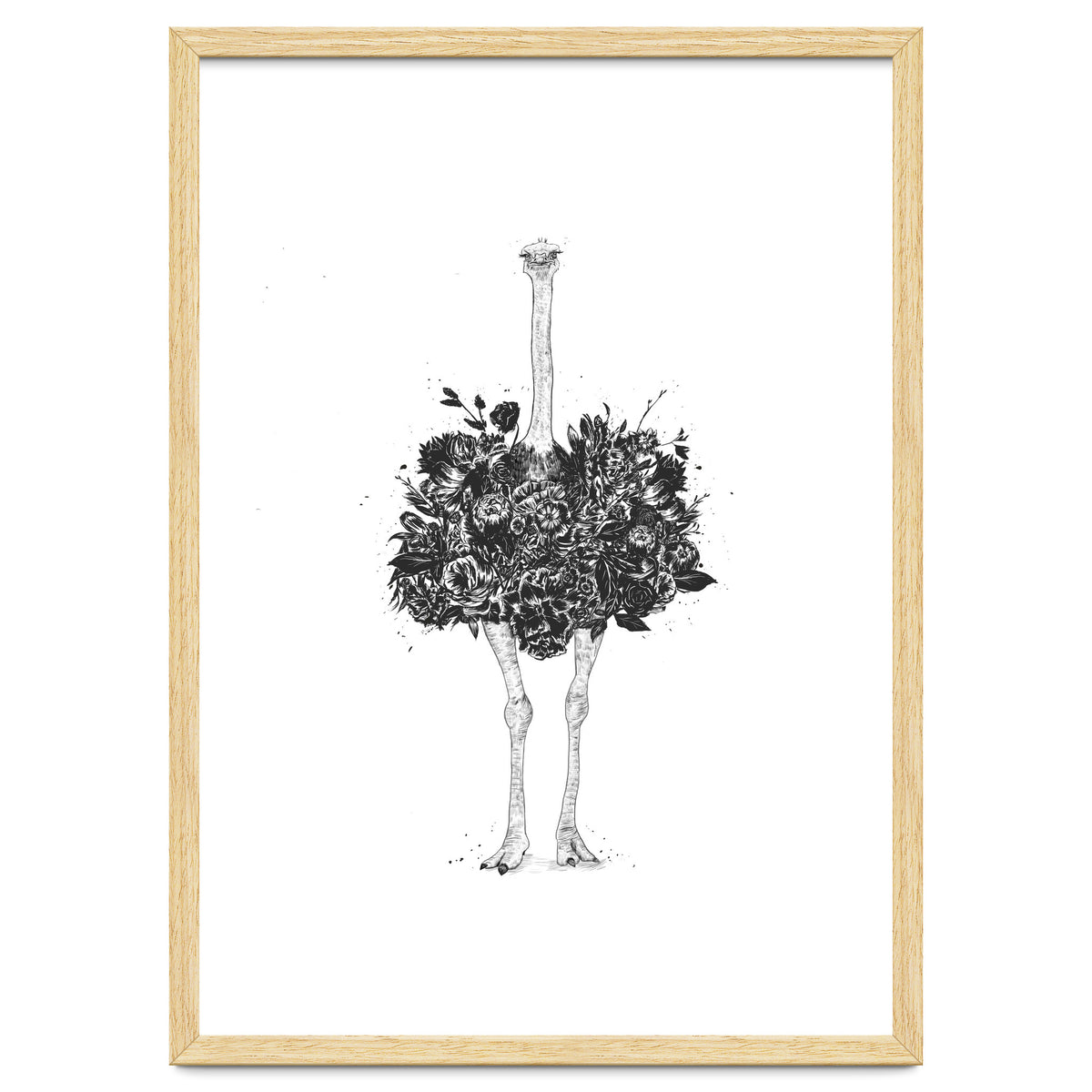 Floral Ostrich