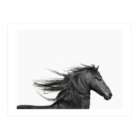 Dark Horse (Print Only)