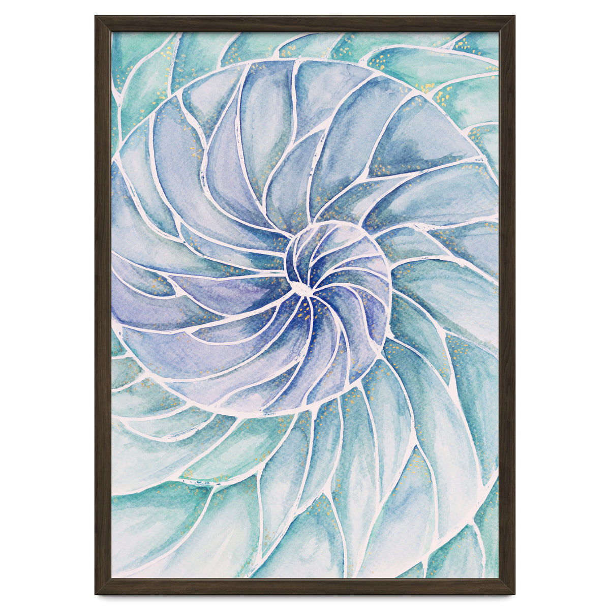 The inside of a shell