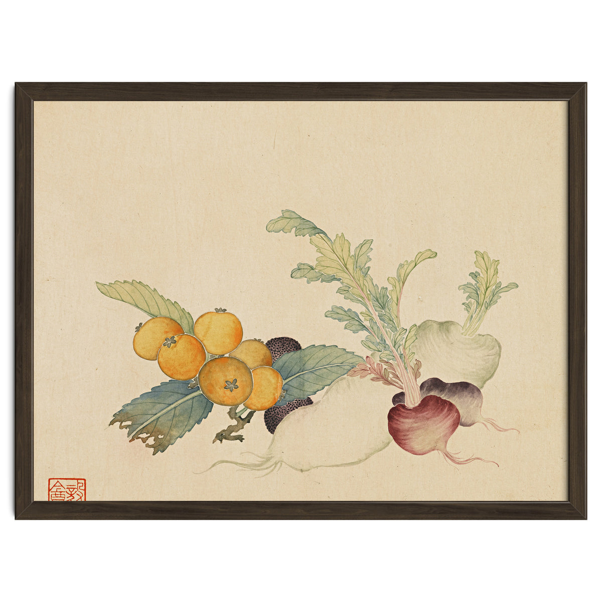 Wang Chengpi~flowers And Vegetables, Vegetables, Fruits, Loquat, White Radish, Carrot, Radish