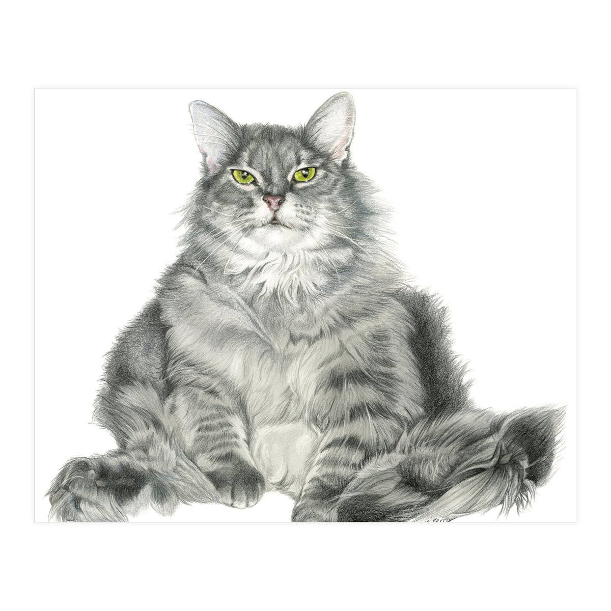 Fatcatred (Print Only)