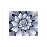White Floral (Print Only) thumbnail
