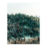 In The Wild (Print Only) thumbnail