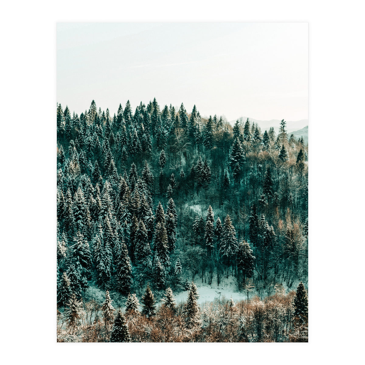 In The Wild (Print Only)