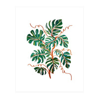 Monstera Deliciosa (Print Only)