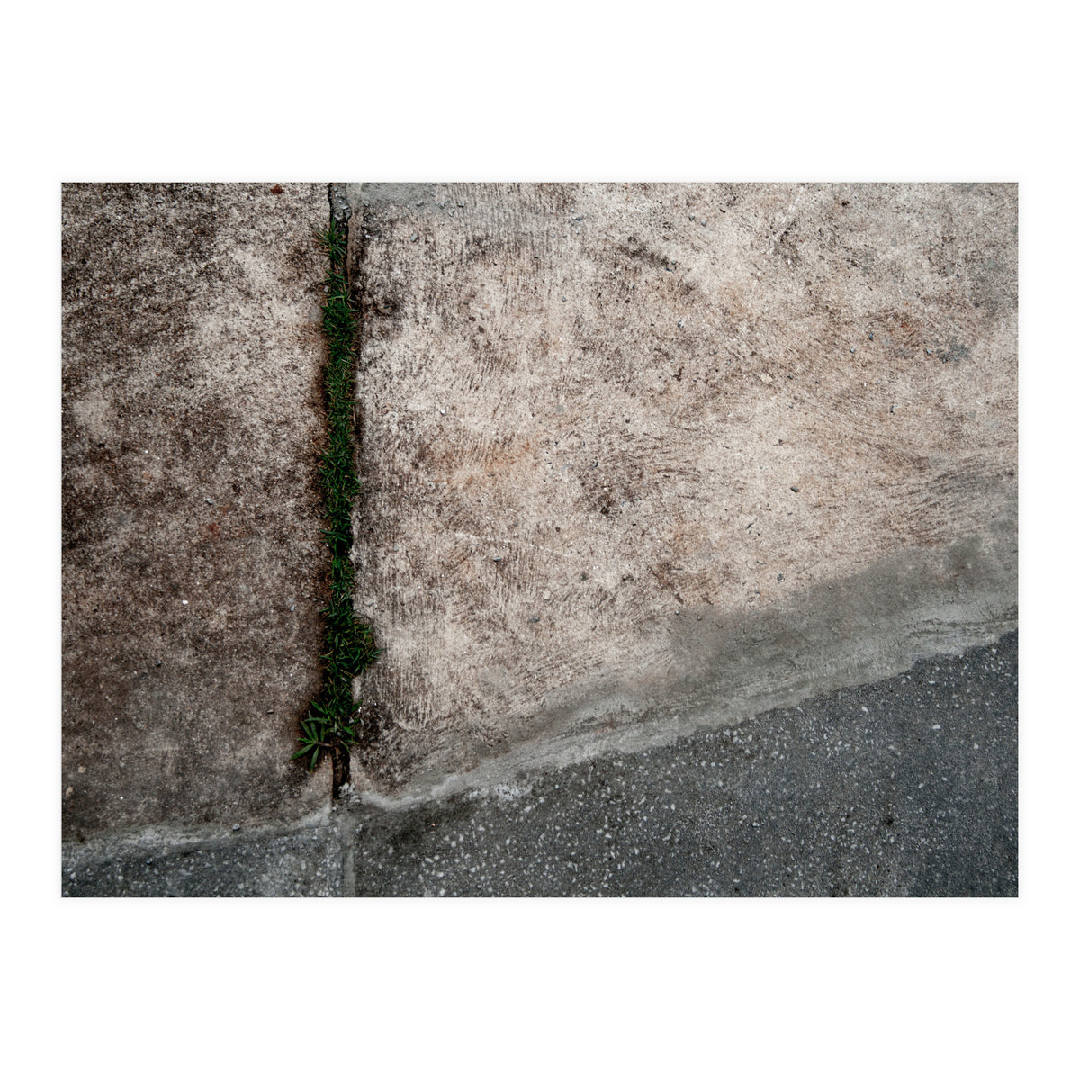 Urban #1 (Print Only)