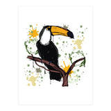 Toucan scribble sketch (Print Only) thumbnail