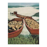 Fleece (Print Only) thumbnail