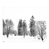 Norwegian Winter (Print Only) thumbnail
