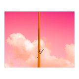 The Pink Half (Print Only) thumbnail