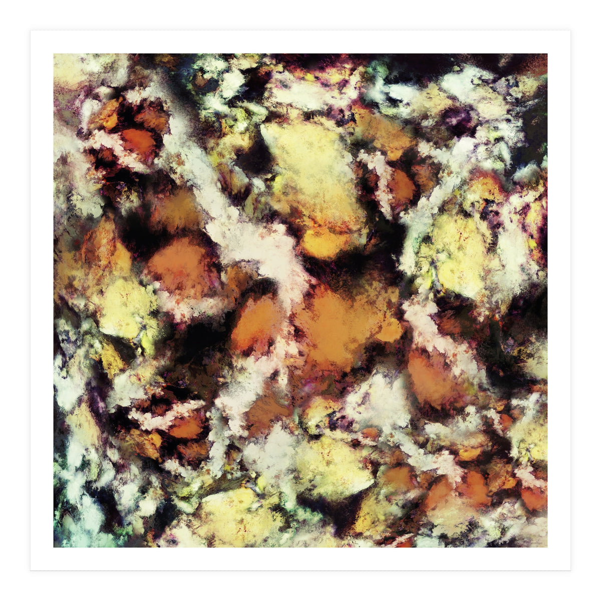 Fractured Viewpoint (Print Only)