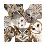 Owls (Print Only) thumbnail