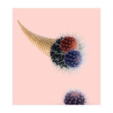 Cactus Cream 50x70 (Print Only) thumbnail
