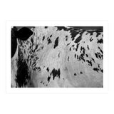 Abstract #3 (Print Only) thumbnail