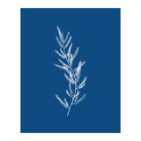 Blue Botanical II (Print Only) thumbnail