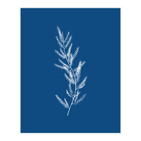 Blue Botanical II (Print Only)