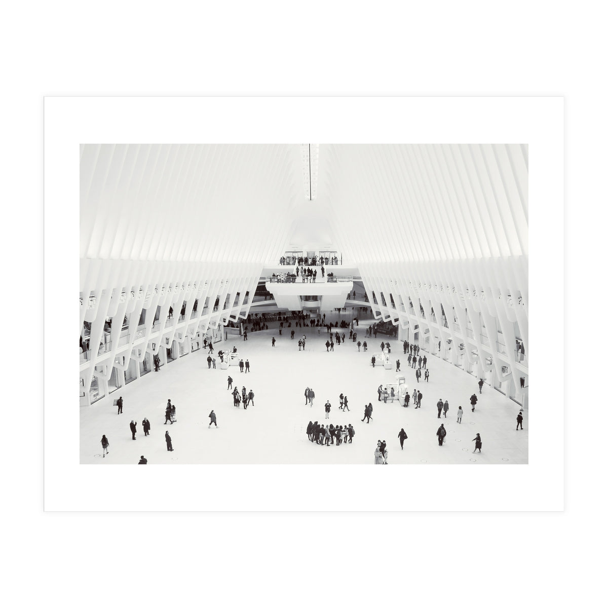 Oculus (Print Only)
