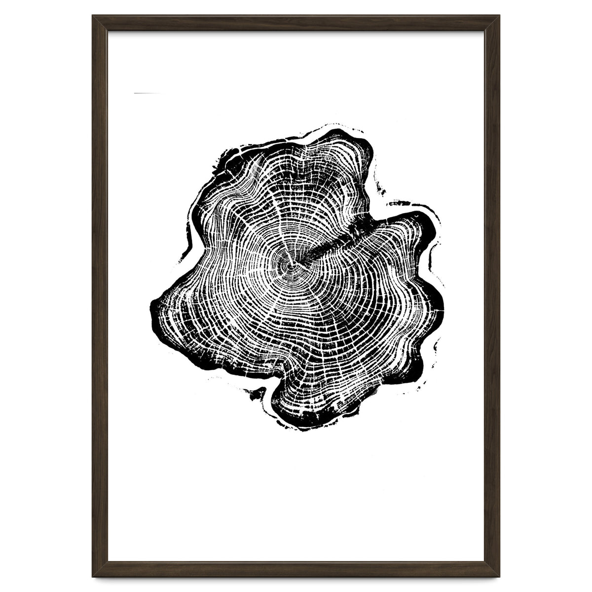 Alaskan Cypress, Tree Ring Art Print, Woodblock
