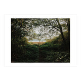 Tomales Bay (Print Only) thumbnail