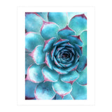 68a (Print Only) thumbnail