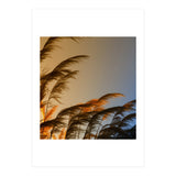 Sunset in autumn (Print Only) thumbnail