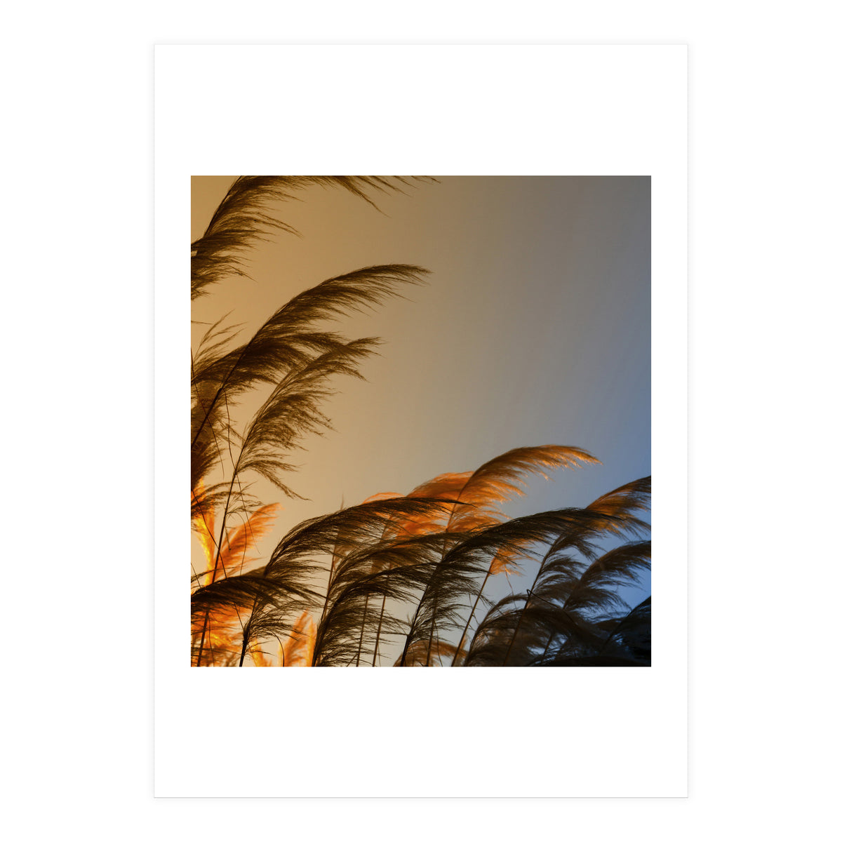 Sunset in autumn (Print Only)